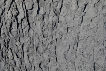 Stone texture worn by the wind and the sea of ​​the coast located on a wild beach.
