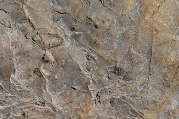 Stone texture worn by the wind and the sea of ​​the coast located on a wild beach.