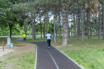 A serene park scene captures a jogger on an asphalt path, surrounded by tall pine trees, with a bench and another individual in the distance, emphasizing an active, tranquil outdoor lifestyle.