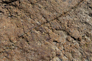 Stone texture worn by the wind and the sea of ​​the coast located on a wild beach.