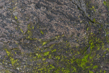 Stone texture worn by the wind and the sea of ​​the coast located on a wild beach.