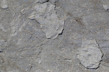 Stone texture worn by the wind and the sea of ​​the coast located on a wild beach.