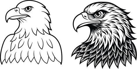 American eagle Eagle Vector illustration