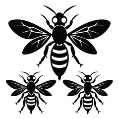 Set of Black Wasp black vector on white background
