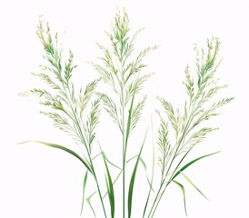 Obraz premium Serene Scene of Reeds and Wildflowers