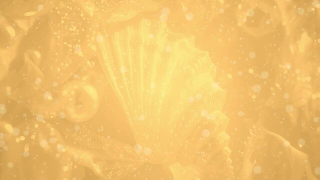 美しい貝殻 幻想的 BG143a 02