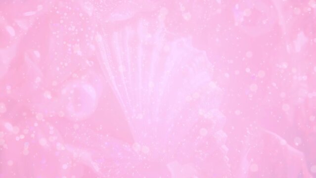 美しい貝殻 幻想的 BG143a 04