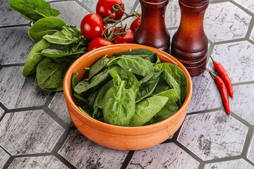 Natural organic raw green spinach