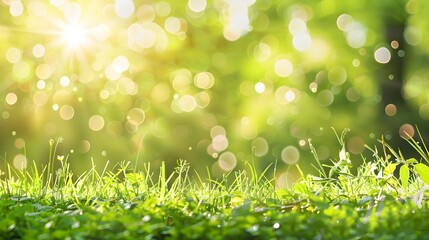 Obraz premium A fresh spring sunny garden background of green grass and blurred foliage bokeh