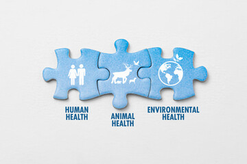 Jigsaw puzzle pieces on white background with icon and the words symbolize the interconnectedness of human health, animal health, and environmental health. Concept of a clean and healthy environment.