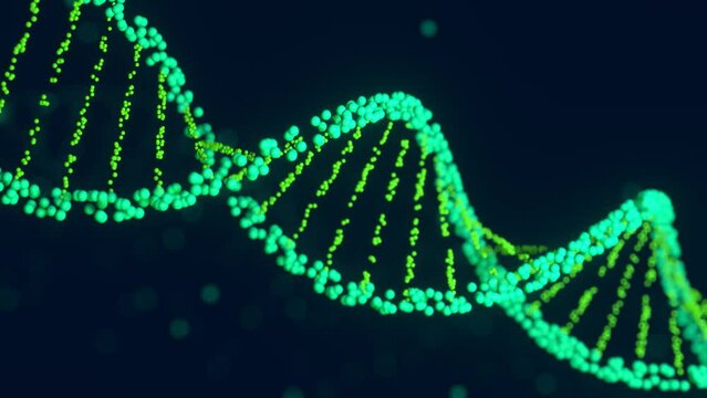 DNA helix structure constructed with particles. 3D digital genetic model. Seamless rotation animation DNA molecule. Scientific medical concept.