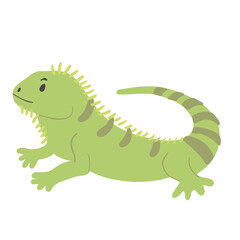 Illustrated cartoon of animals fit for learning for baby and todddler 