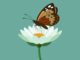A butterfly sits on a bud of a beautiful chrysanthemum vector illustration  © Sumondesigner_42
