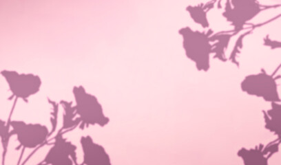 shadow of flowers on a light background. delicate background in pink shades. space for text