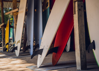 A variety of surfboards are neatly displayed on a stand