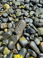 stones on the beach