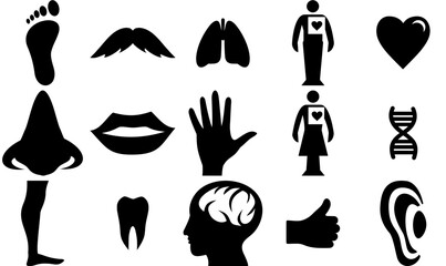 Set Of Linear Icon A Body Isolated Silhouette Solid Icons With Heart,Sense,User,Foot Vector Illustration Linear Pictogram Pack