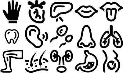 Set Of Linear Human Body Organ Icons Silhouette Vector Logo Design Containing Organ,Skull,Stomach,Mouth,Gastroenterology Infographic Simple Vector Illustration Logo