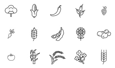 A Collection Of Crops Outline Icons Icons Web Header Banner Design Containing Cereals,Grain,Sugar,Hot,Crop Stroke Icon Collection. Vector Illustration