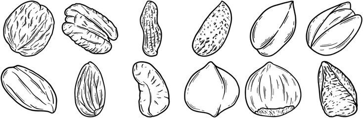 Set Of Linear Nuts Vector Symbols Apps, Websites Ui Designs Suitable For Protein,Peanut,Food,Nut,Nuts Infographic Simple Vector Illustration Logo