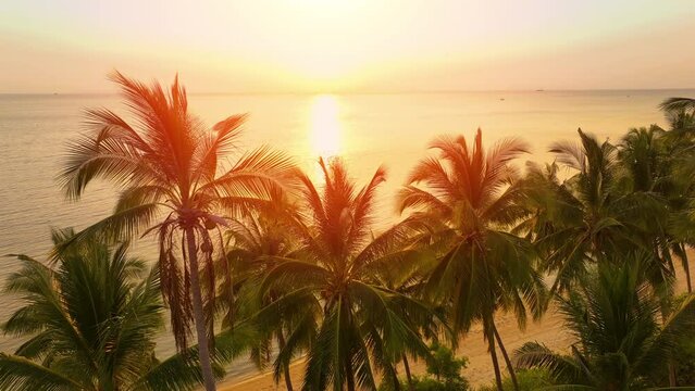 Beach sea palm island tropical ocean sand tree sky water paradise travel nature vacation summer. Beautiful tropical beach with palm trees at sunset.
