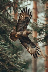 Obraz premium A large bird flying through a dense forest. Suitable for nature and wildlife themes