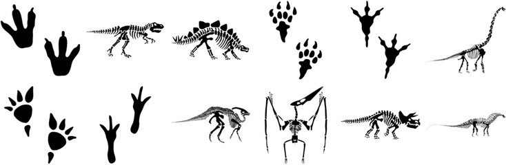 Set Of Linear Dinosaur Skeletons And Footprints Vector Symbols Apps, Websites Ui Designs Suitable For Museum,Nature,History,Biology,Animal Stroke Icon Collection. Vector Illustration