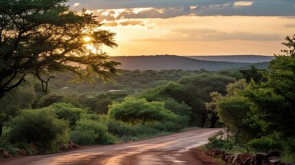 Fototapeta premium rural road enjoying sunset UHD Wallpaper
