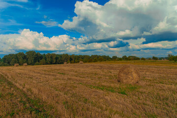 Fototapeta premium harvest season agricultural field with stack of hay country side meadow landscape in contrast colors and cloudy end of summer day time