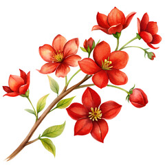 Elegant Branch of Red Flower Isolated on white and transparent Background