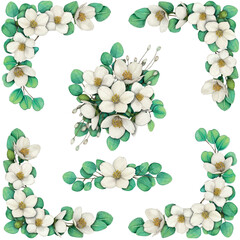 Watercolor hand drawn white jasmine flowers