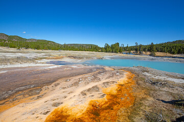 Black sands geyser basin