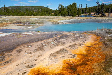 Black sands geyser basin