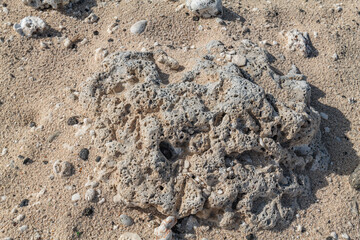 Sand with Beachrock.  Beachrock is a friable to well-cemented sedimentary rock that consists of a variable mixture of gravel-, sand-, and silt-sized sediment. fragments of coral and shells . Geology 