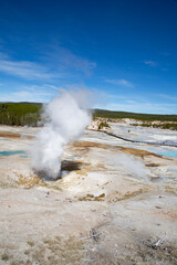 Norris geyser basin