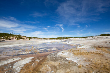 Norris geyser basin