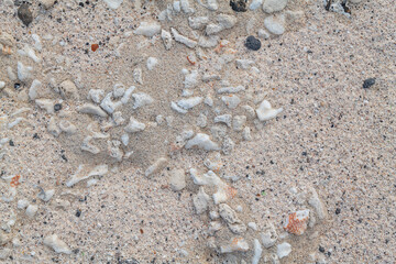 Sand with Beachrock.  Beachrock is a friable to well-cemented sedimentary rock that consists of a variable mixture of gravel-, sand-, and silt-sized sediment. fragments of coral and shells . Geology 