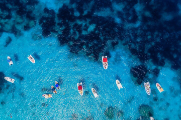 Aerial view on fast boats on blue sea at sunny day. Vacation and leisure. Fast ship on the sea...