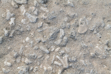 Beachrock is a friable to well-cemented sedimentary rock that consists of a variable mixture of gravel-, sand-, and silt-sized sediment. fragments of coral and shells . Geology of Oahu Hawaii
