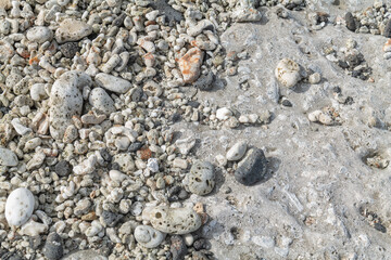 Beachrock is a friable to well-cemented sedimentary rock that consists of a variable mixture of basalt gravel , sand , and silt-sized sediment. fragments of coral and shells . Geology 
