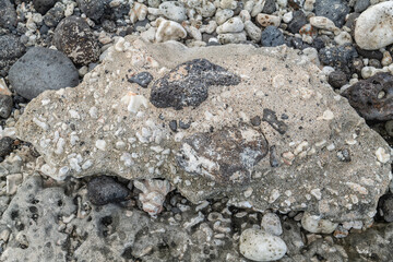 Beachrock is a friable to well-cemented sedimentary rock that consists of a variable mixture of basalt gravel , sand , and silt-sized sediment. fragments of coral and shells . Geology 
