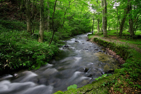 View from clear creeks 澄んだ小川の景色 View from clear creeks