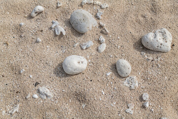 Calcareous fragments of coral and shells on the white sand beach， Kaloko Beach, Oahu Hawaii.  Beach deposits	