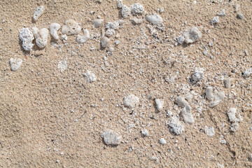 Calcareous fragments of coral and shells on the white sand beach， Kaloko Beach, Oahu Hawaii.  Beach deposits	