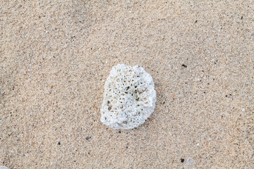 Calcareous fragments of coral and shells on the white sand beach， Kaloko Beach, Oahu Hawaii.  Beach deposits	