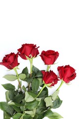 Roses, red, rose, bouquet, gift, day, free space, on a white background, place for text, top view, background