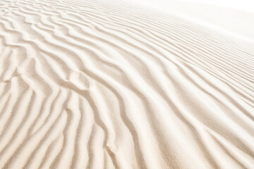 Obraz premium Sand Dune Texture with Windblown Ripples