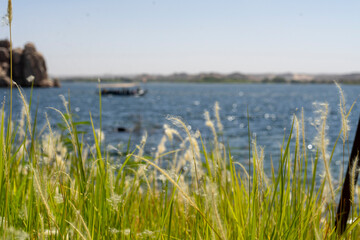 The Nile River is a river that flows through the northeastern part of the African continent. With a total length of 6,650 km, it is the longest river in the world