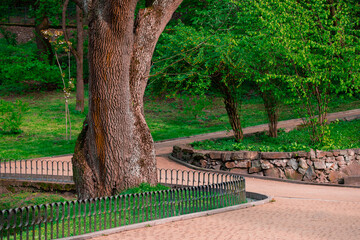 landscape design elements in city square garden park green grass lawn hills fenced by palisade and...