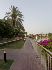 Fototapeta premium Springs 7 neighbourhood in Dubai
